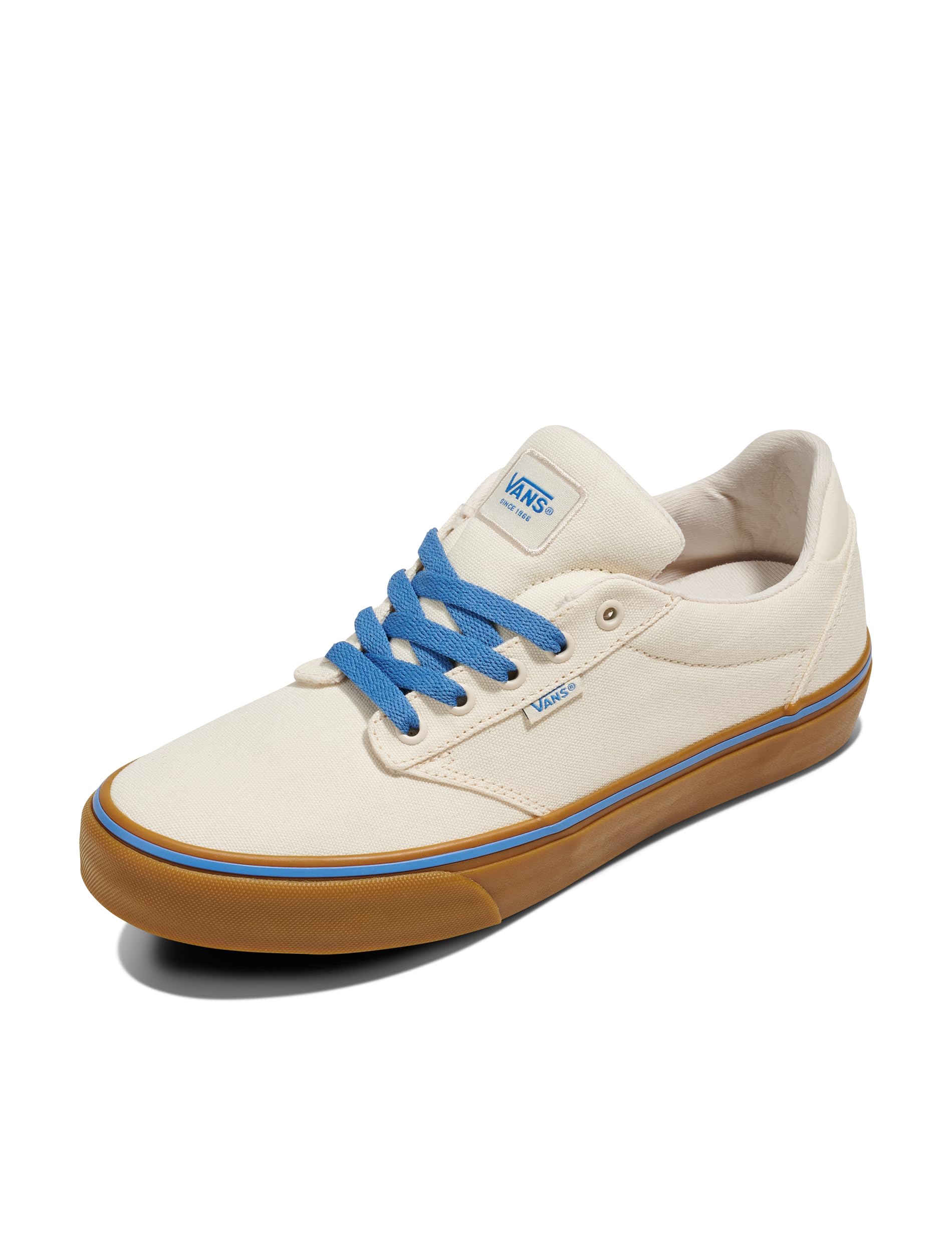 Vans Mens Atwood Deluxe Shoe